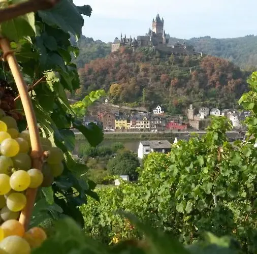 Maison d'hôtes Altstadt 3*