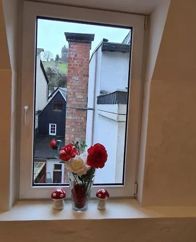 Altstadt Maison d'hôtes